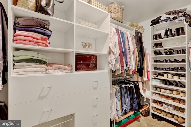 3930 Liz Cir, Doylestown, PA 18902 - walk in closet with carpet flooring