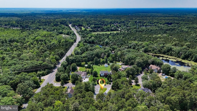 4 W Woodduck Dr, Tuckerton, NJ 08087 - aerial view of a forest and a large body of water