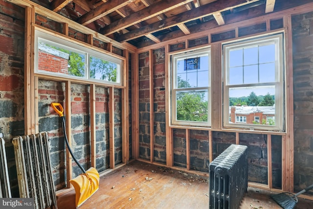 217 Jefferson St NW, Washington, DC 20011 - miscellaneous room featuring radiator and plenty of natural light