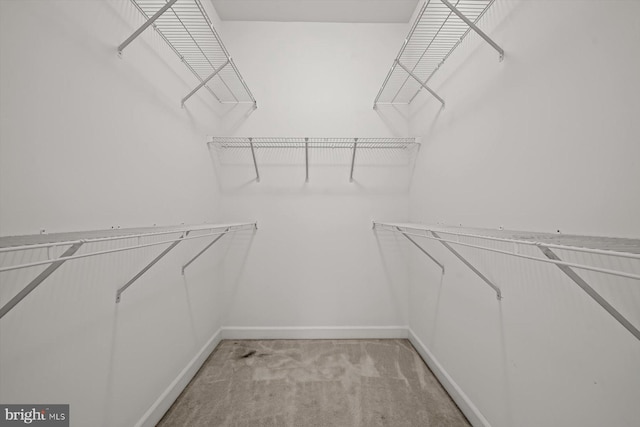 14014 Mary Bowie Pkwy, Upper Marlboro, MD 20774 - walk in closet featuring light colored carpet