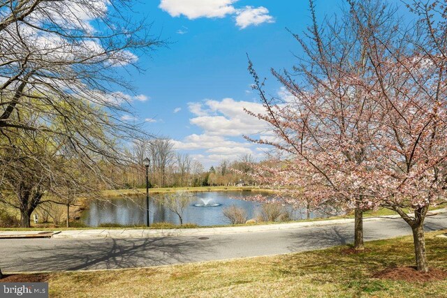 14014 Mary Bowie Pkwy, Upper Marlboro, MD 20774 - water view
