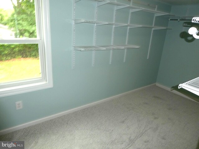 126 E Central Ave, Hammonton, NJ 08037 - walk in closet featuring carpet floors