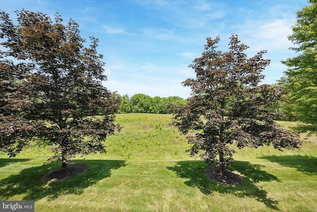 272 Center Point Ln, Lansdale, PA 19446 - view of green lawn