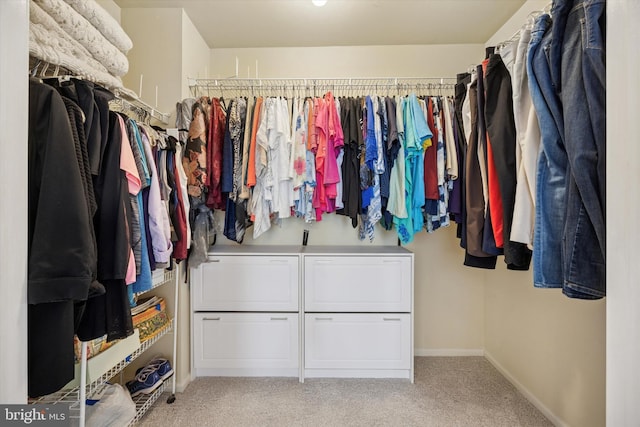 272 Center Point Ln, Lansdale, PA 19446 - walk in closet with light carpet