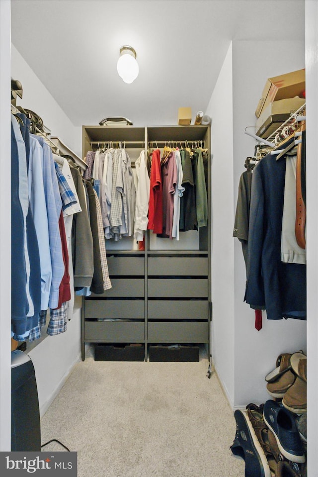 272 Center Point Ln, Lansdale, PA 19446 - walk in closet featuring carpet floors