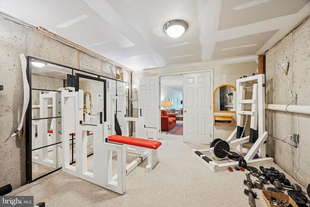 272 Center Point Ln, Lansdale, PA 19446 - workout area featuring carpet floors
