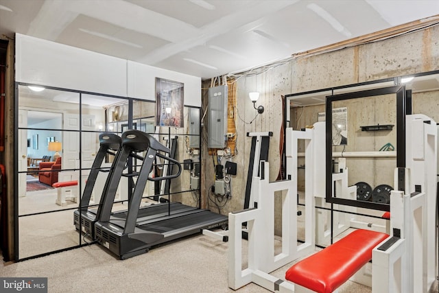 272 Center Point Ln, Lansdale, PA 19446 - gym featuring electric panel and carpet