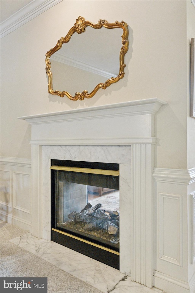 272 Center Point Ln, Lansdale, PA 19446 - detailed view of a fireplace and crown molding