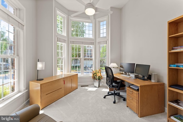 43665 Jernigan Ter, Leesburg, VA 20176 - office space featuring healthy amount of natural light, light colored carpet, ceiling fan, and a towering ceiling