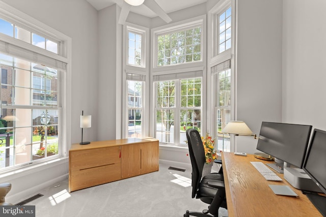 43665 Jernigan Ter, Leesburg, VA 20176 - office area featuring carpet floors and a towering ceiling