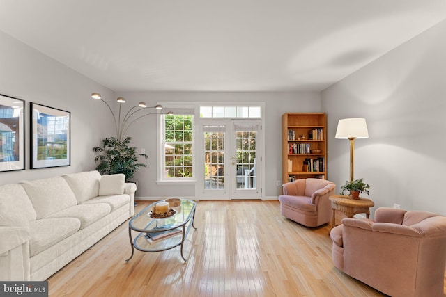 43665 Jernigan Ter, Leesburg, VA 20176 - living room featuring light wood-type flooring and baseboards
