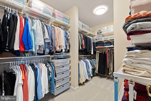 43665 Jernigan Ter, Leesburg, VA 20176 - spacious closet featuring carpet flooring