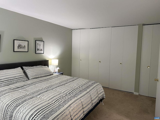 545 Burgoyne Rd Unit 8, Charlottesville, VA 22901 - bedroom featuring carpet and two closets
