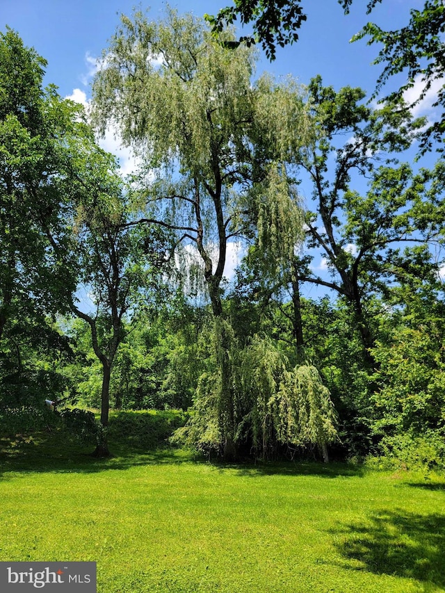 4367 Sunset Ct, Warrenton, VA 20187 - view of grassy yard