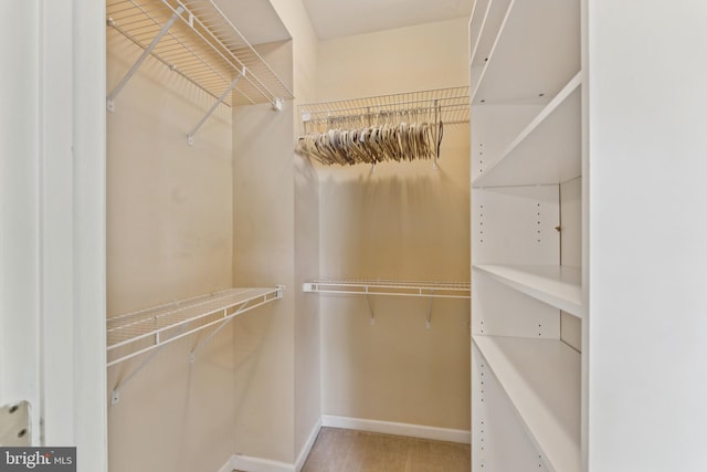 6230 Glen Valley Ter Unit 4L, Frederick, MD 21701 - view of spacious closet