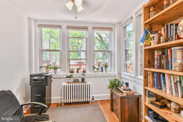 3905 Benton St NW, Washington, DC 20007 - living area with radiator, light wood-style flooring, and ceiling fan