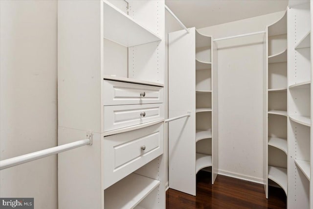 42 Frost Ln, Hightstown, NJ 08520 - spacious closet with dark wood-style flooring
