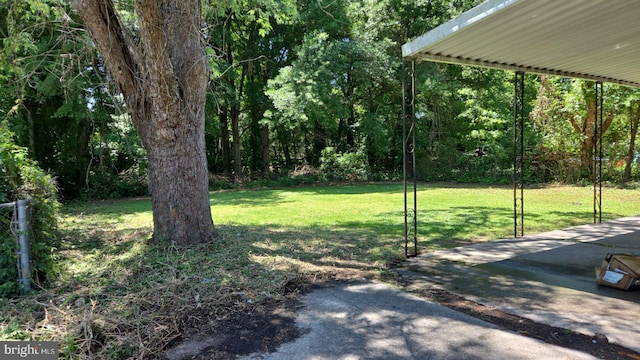 501 Tunstall Ave, Blackstone, VA 23824 - view of grassy yard
