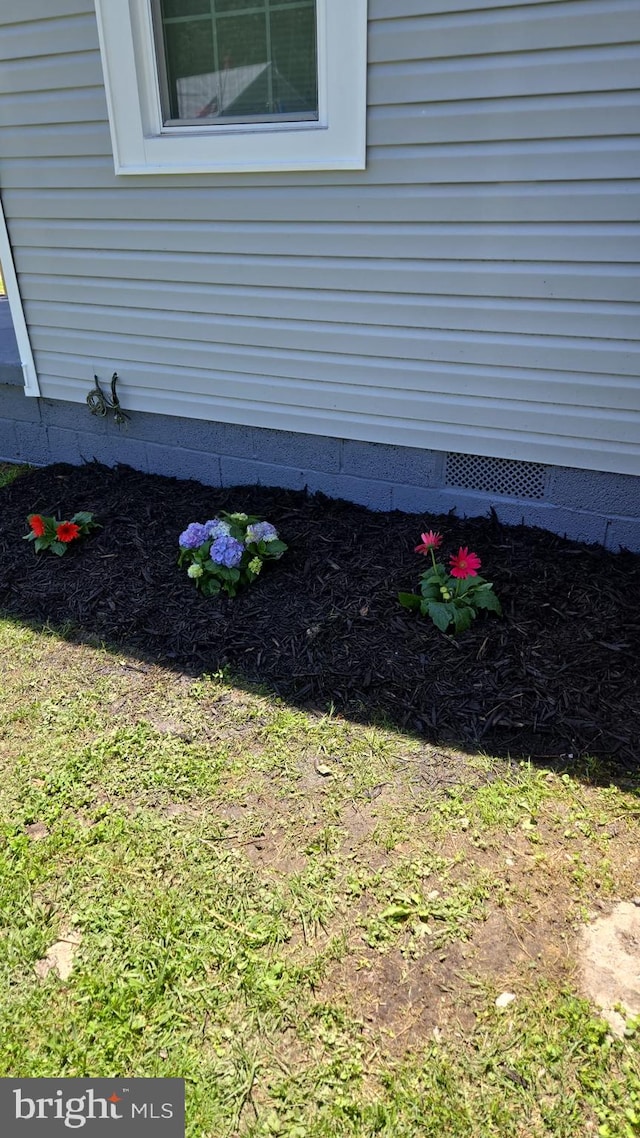 501 Tunstall Ave, Blackstone, VA 23824 - exterior view of crawl space