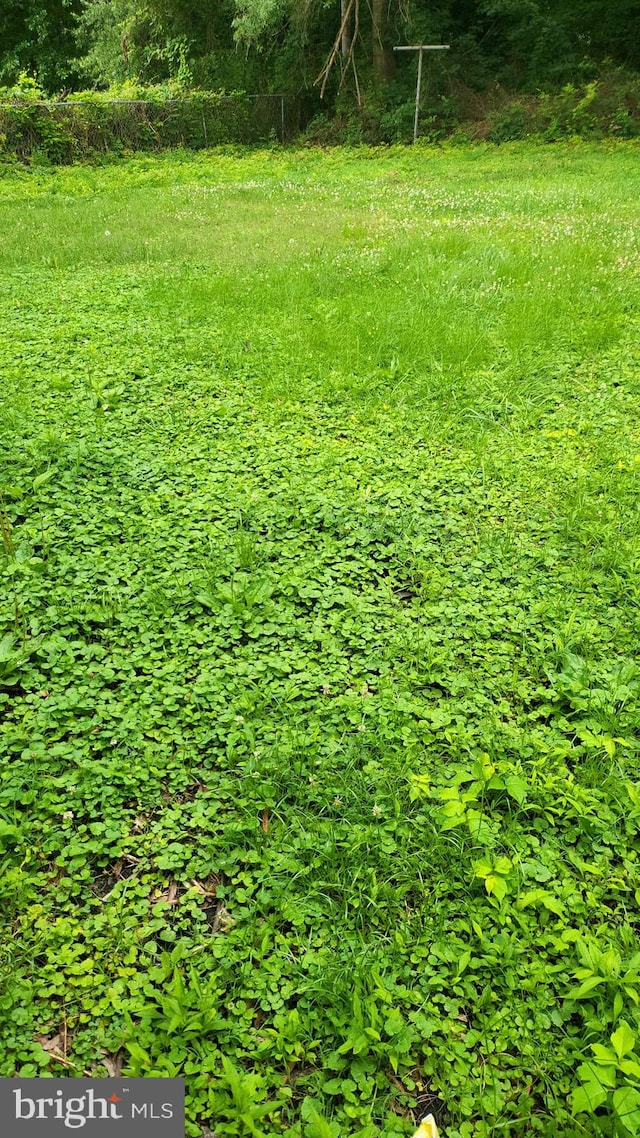 501 Tunstall Ave, Blackstone, VA 23824 - view of yard