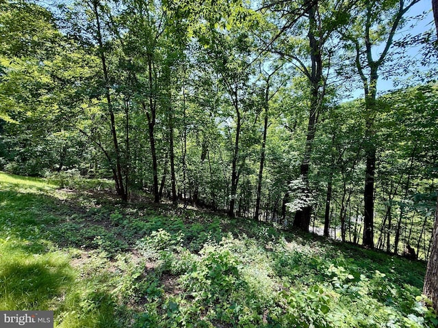 102 Tecumseh Trl, Hedgesville, WV 25427 - view of wooded area