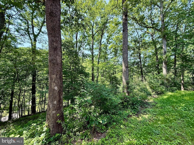 102 Tecumseh Trl, Hedgesville, WV 25427 - view of tree filled area