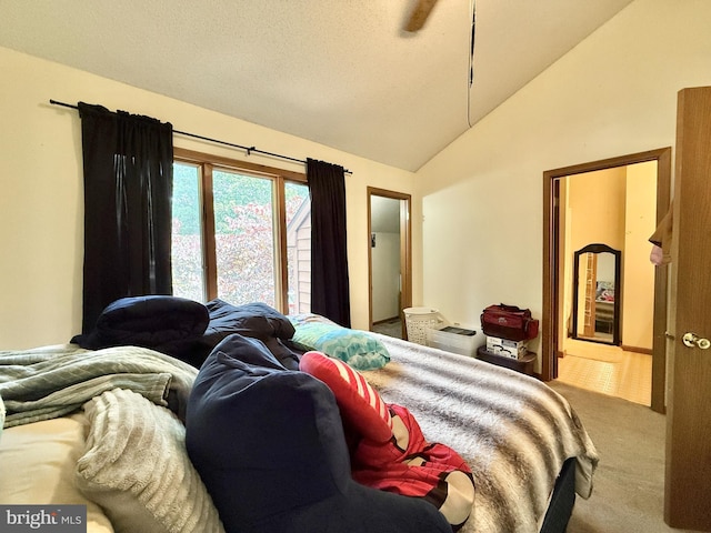 102 Tecumseh Trl, Hedgesville, WV 25427 - bedroom featuring lofted ceiling and carpet