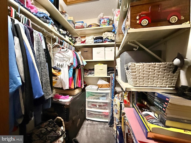 102 Tecumseh Trl, Hedgesville, WV 25427 - view of walk in closet