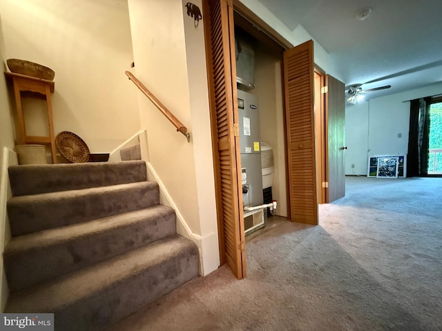 102 Tecumseh Trl, Hedgesville, WV 25427 - stairs with carpet flooring and ceiling fan