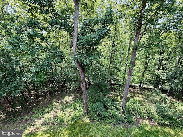102 Tecumseh Trl, Hedgesville, WV 25427 - view of tree filled area