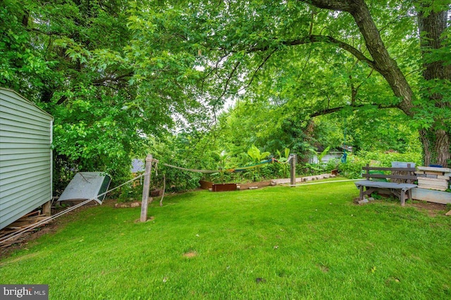 6612 Stockton Ln, Hyattsville, MD 20784 - view of grassy yard