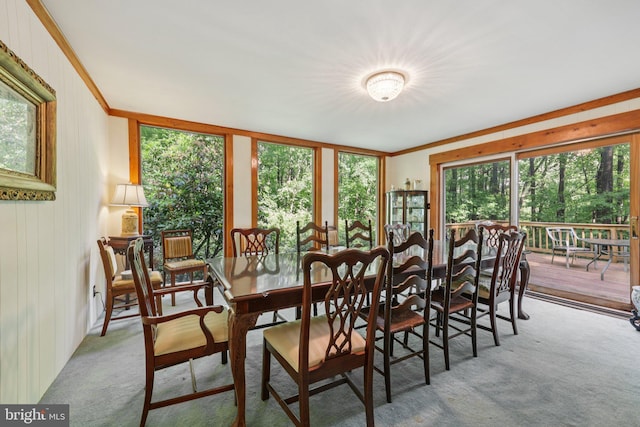 28 Cliff Rd, Front Royal, VA 22630 - carpeted dining space featuring healthy amount of natural light, ornamental molding, and wood walls
