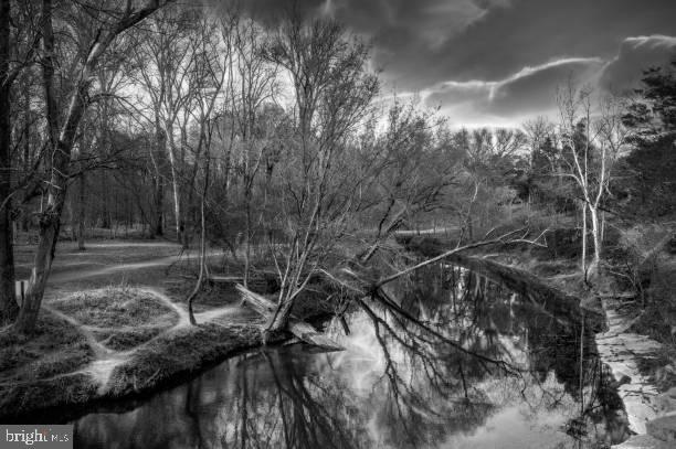 9715 Botsford Rd, Manassas, VA 20109 - view of nature
