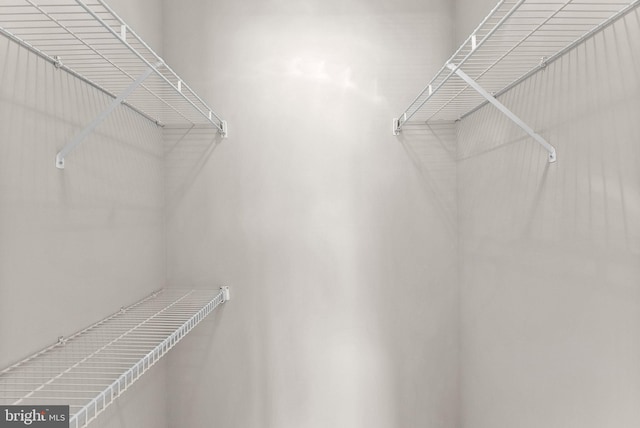 1003 Foxhunt Ter NE Unit 201, Leesburg, VA 20176 - view of walk in closet