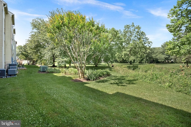 1003 Foxhunt Ter NE Unit 201, Leesburg, VA 20176 - view of grassy yard
