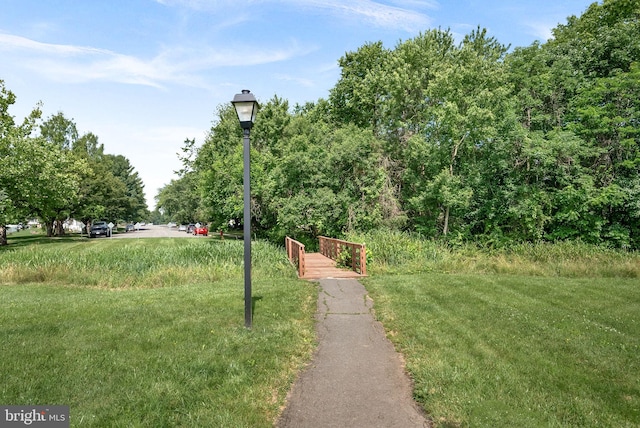 1003 Foxhunt Ter NE Unit 201, Leesburg, VA 20176 - view of grassy yard