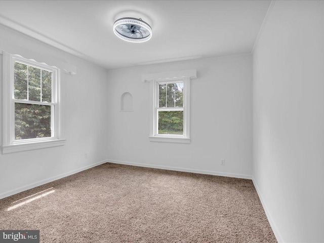 69 Mary Elmer Dr, Bridgeton, NJ 08302 - empty room featuring carpet flooring