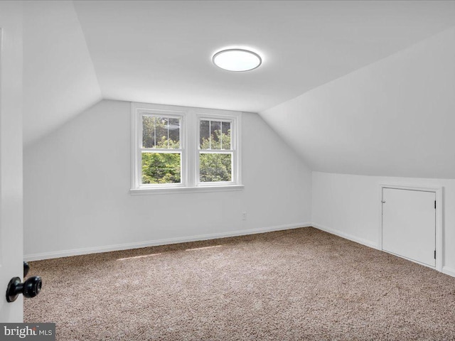 69 Mary Elmer Dr, Bridgeton, NJ 08302 - bonus room with carpet flooring and vaulted ceiling