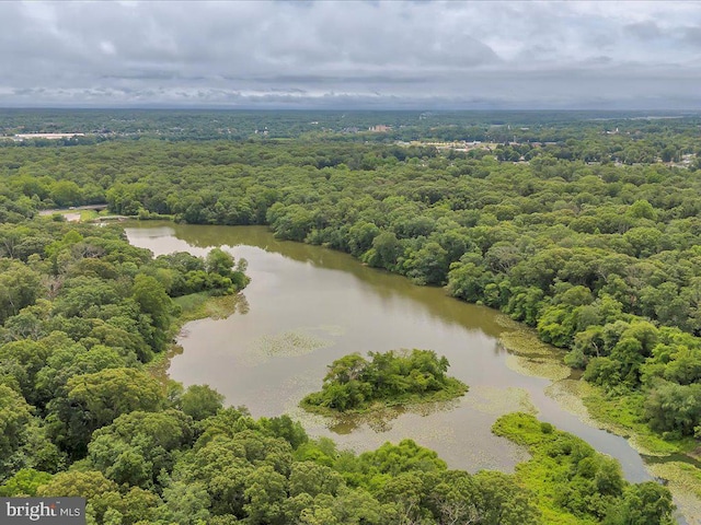 69 Mary Elmer Dr, Bridgeton, NJ 08302 - drone / aerial view of a forest and a nearby body of water