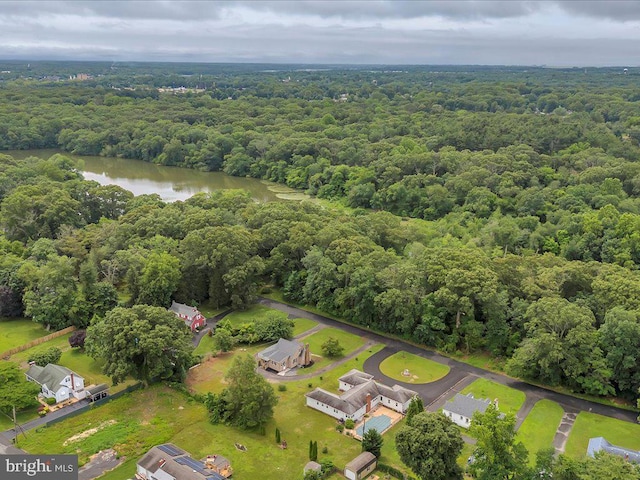 69 Mary Elmer Dr, Bridgeton, NJ 08302 - bird's eye view of a forest and a large body of water