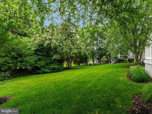 848 Sunny Chapel Rd, Odenton, MD 21113 - view of green lawn
