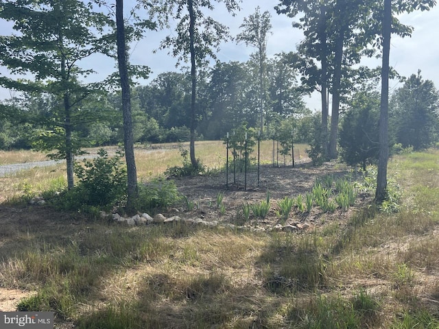 0 Whartons Pass, Unionville, VA 22567