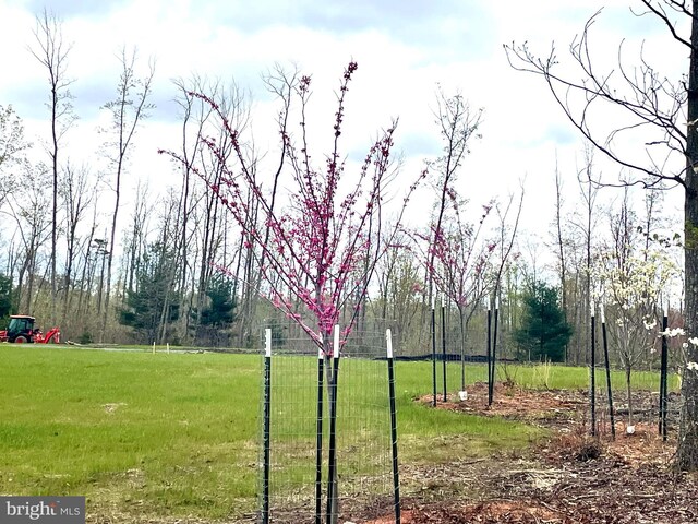 0 Whartons Pass, Unionville, VA 22567