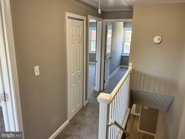 2011 Larkhall, Baltimore, MD 21222 - corridor with attic access, an upstairs landing, and carpet
