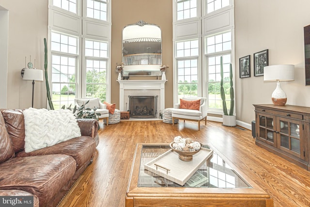 405 Hoffman Rd, Harleysville, PA 19438 - living room featuring wood finished floors, a high ceiling, and a fireplace