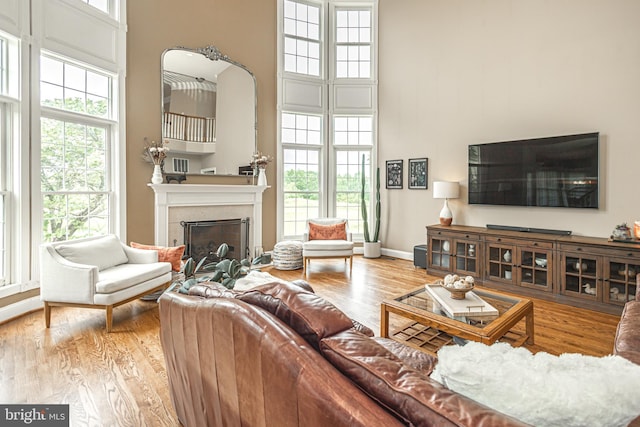 405 Hoffman Rd, Harleysville, PA 19438 - living area featuring a towering ceiling, a fireplace, and wood finished floors