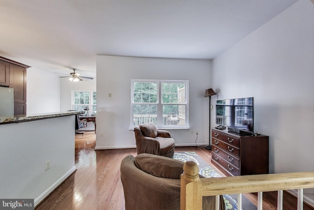 4174 La Mauricie Loop, Dumfries, VA 22025 - living area with light wood finished floors and a ceiling fan