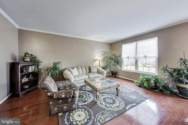 4174 La Mauricie Loop, Dumfries, VA 22025 - living room with ornamental molding, wood finished floors, and a baseboard radiator