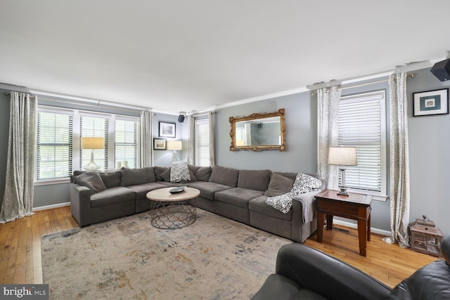 553 Choptank Cove Ct, Annapolis, MD 21401 - living area featuring crown molding and hardwood / wood-style flooring