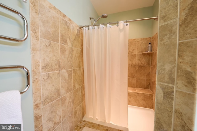 722 Cherry Tree Rd, Middletown, DE 19709 - full bath featuring a tile shower